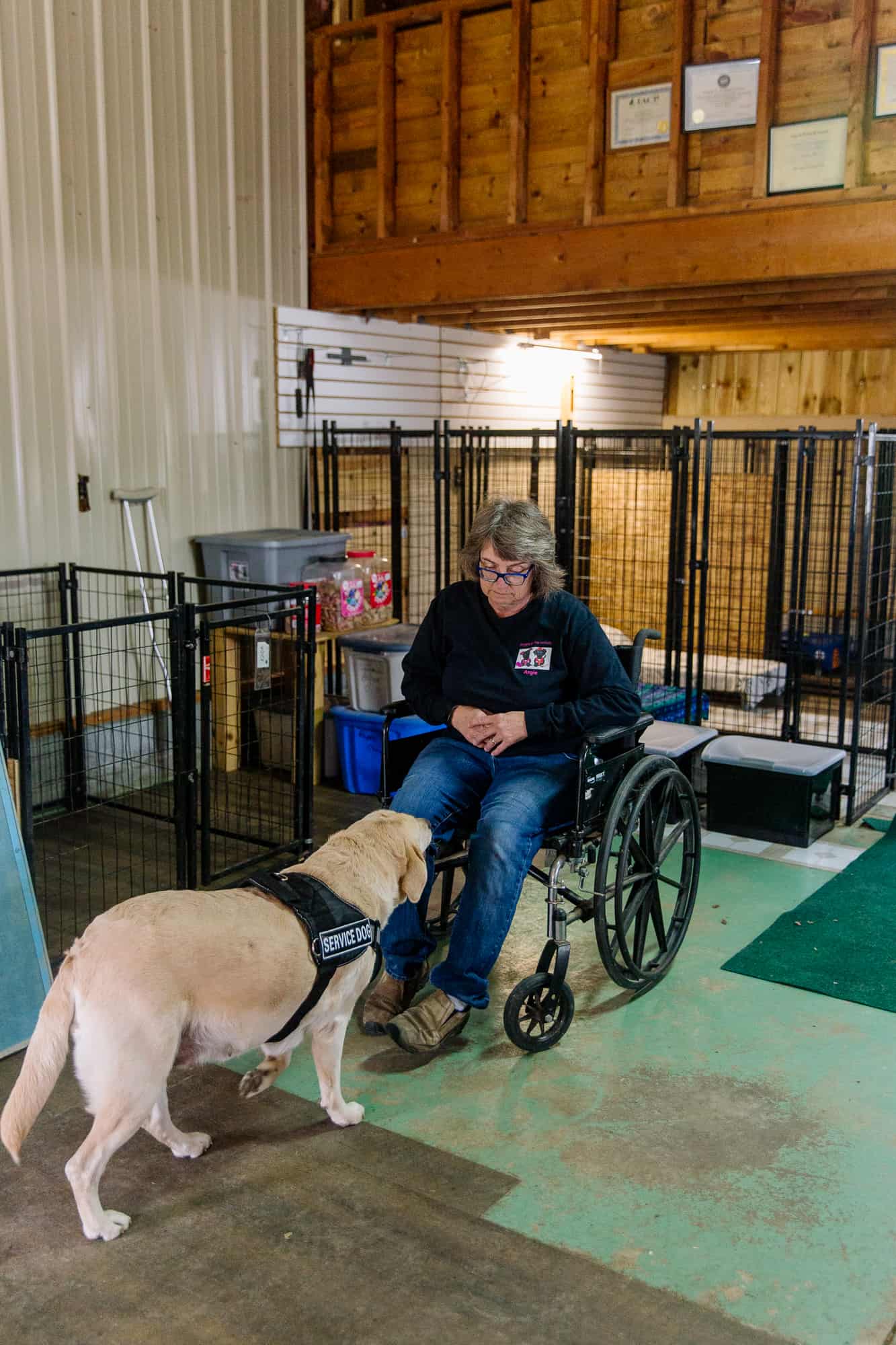 Angels in the Innfield Dog Training