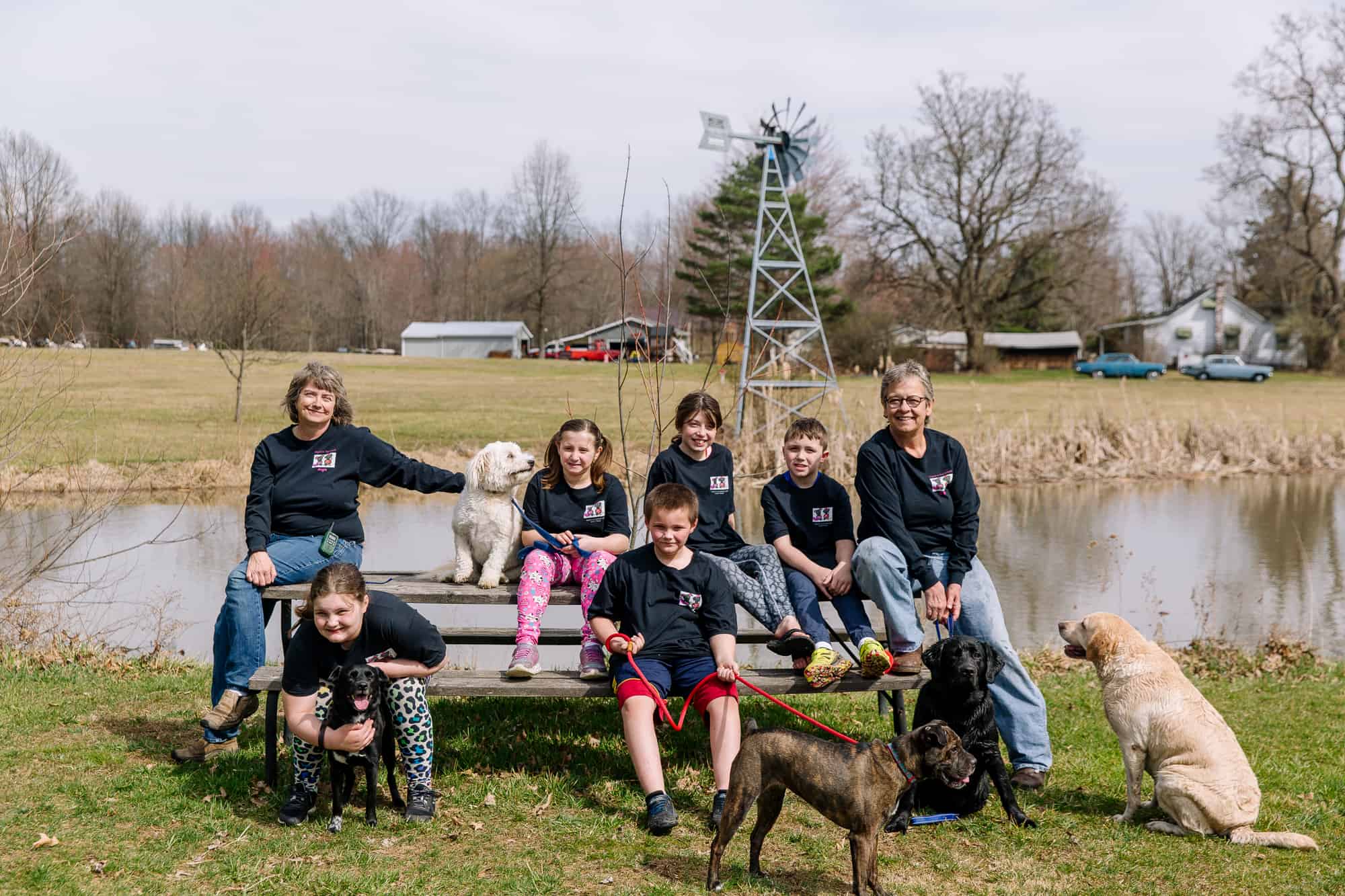 Angels in the Innfield Dog Training