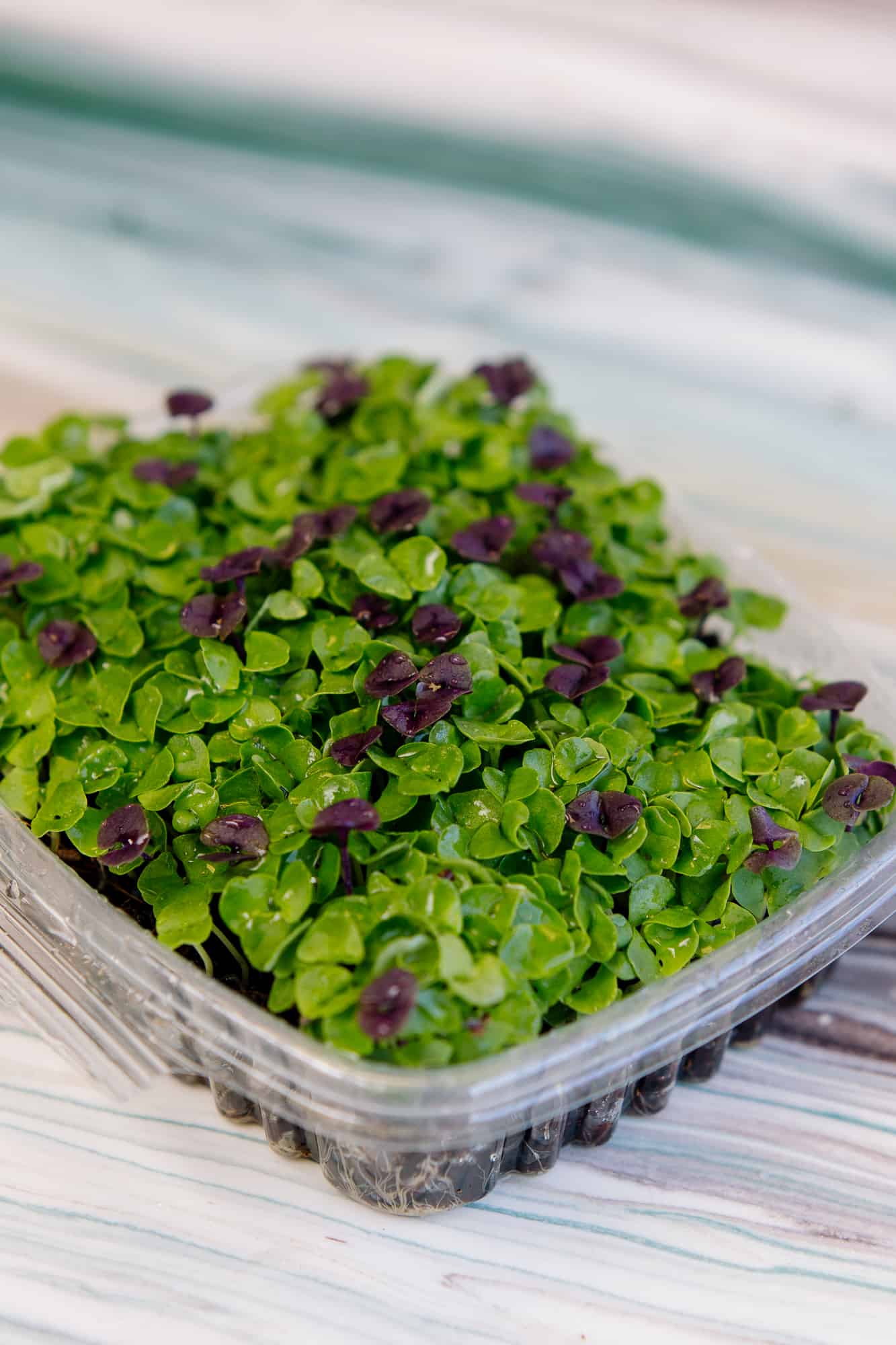 Cleveland Fresh Product Photos in Cleveland, OH.